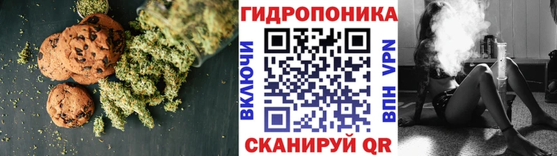 купить  цена  Поворино  Canna-Cookies конопля 