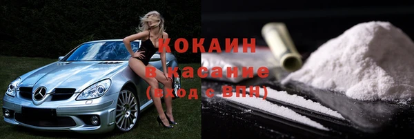 индика Михайлов