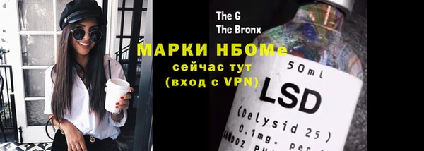гидра Михайловка