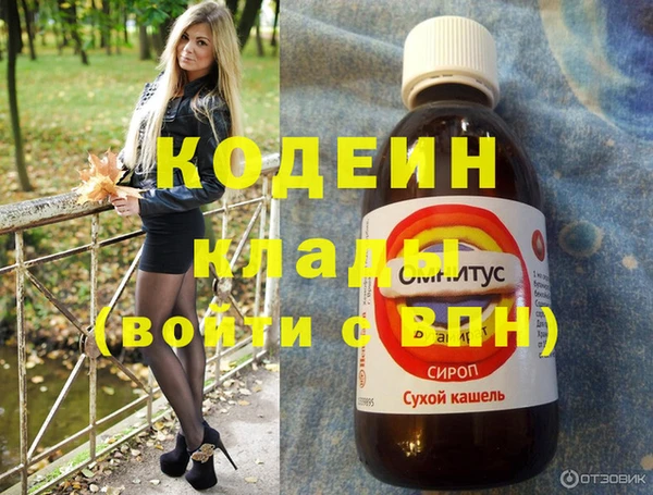 индика Михайлов