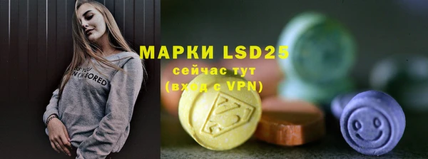 гидра Михайловка