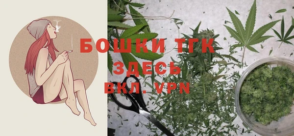 индика Михайлов