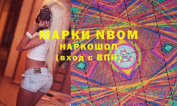 индика Михайлов