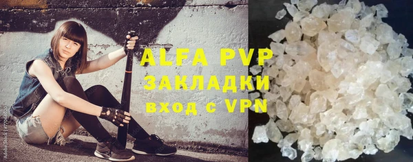индика Михайлов