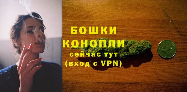 гидра Михайловка