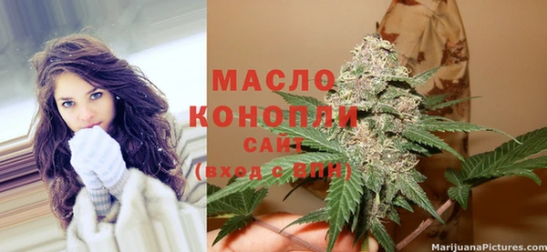 гидра Михайловка