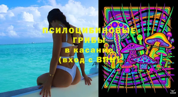 гидра Михайловка